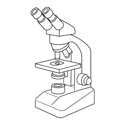 Optical_Microscopy-r (2)