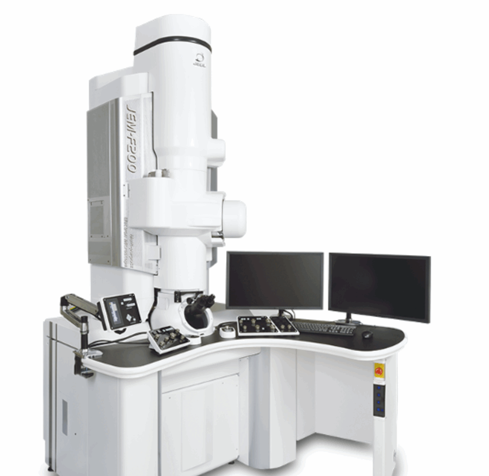 cropped-TEM-JEOL-F-200-1.png