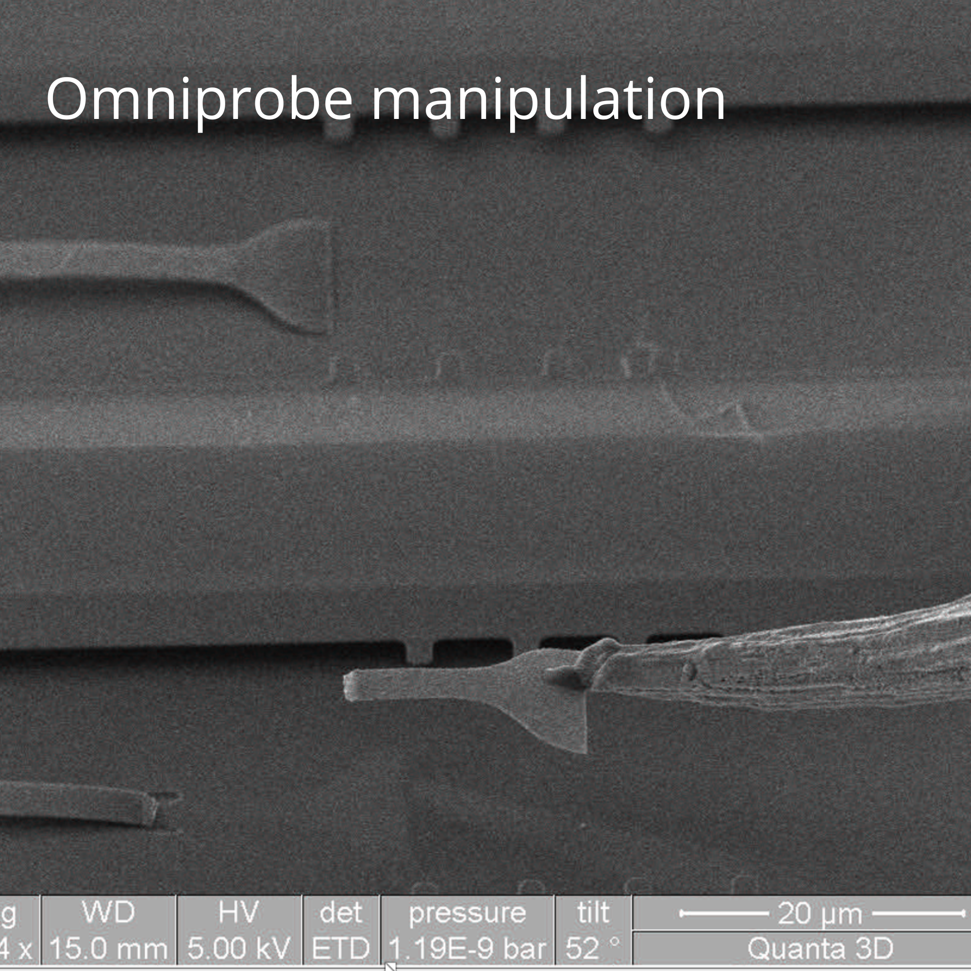 Omniprobe manipulation